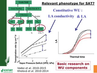 LeasyScan: A novel concept combining 3D imaging and lysimetry for hi-throughput phenotyping of traits controlling plant water budget
