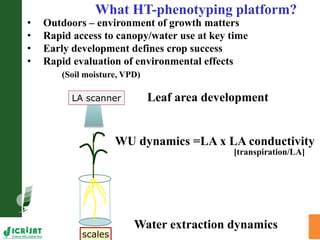 LeasyScan: A novel concept combining 3D imaging and lysimetry for hi-throughput phenotyping of traits controlling plant water budget