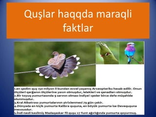 Quşlar haqqda maraqli
faktlar
 