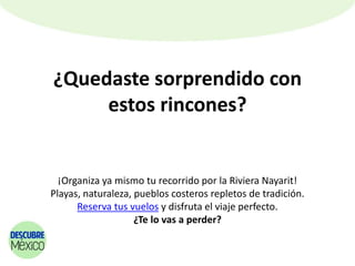 ¿Quedaste sorprendido con
estos rincones?
¡Organiza ya mismo tu recorrido por la Riviera Nayarit!
Playas, naturaleza, pueblos costeros repletos de tradición.
Reserva tus vuelos y disfruta el viaje perfecto.
¿Te lo vas a perder?
 