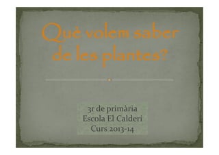 Què volem saber
de les plantes?
3r de primària
Escola El Calderí
Curs 2013-14

 