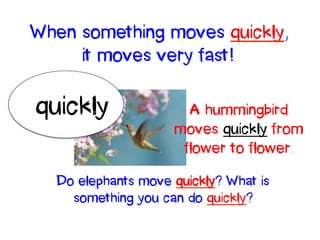 A hummingbird
moves quickly from
flower to flower.
quickly
When something moves quickly,
it moves very fast!.
Do elephants move quickly? What is
something you can do quickly?
 