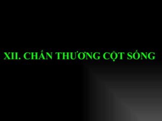 XII. CHẤN THƯƠNG CỘT SỐNG   