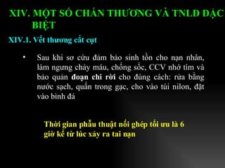 Sau khi sơ cứu đảm bảo sinh tồn cho nạn nhân, làm ngưng chảy máu, chống sốc, CCV nhớ tìm và bảo quản  đoạn chi rời  cho đúng cách: rửa bằng nước sạch, quấn trong gạc, cho vào túi nilon, đặt vào bình đá XIV.1. Vết thương cắt cụt XIV. MỘT SỐ CHẤN THƯƠNG VÀ TNLĐ ĐẶC BIỆT   Thời gian phẫu thuật nối ghép tối ưu là 6 giờ kể từ lúc xảy ra tai nạn 
