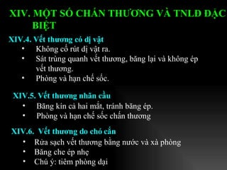 Không cố rút dị vật ra. Sát trùng quanh vết thương, băng lại và không ép vết thương. Phòng và hạn chế sốc. XIV.4. Vết thương có dị vật XIV. MỘT SỐ CHẤN THƯƠNG VÀ TNLĐ ĐẶC BIỆT   XIV.5. Vết thương nhãn cầu Băng kín cả hai mắt, tránh băng ép. Phòng và hạn chế sốc chấn thương XIV.6.  Vết thương do chó cắn Rửa sạch vết thương bằng nước và xà phòng Băng che ép nhẹ Chú ý: tiêm phòng dại 