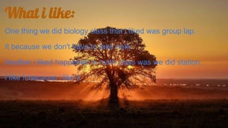 What i like:
One thing we did biology class that I liked was group lap.
It because we don't have to take note
Another i liked happened in math class was we did station.
I like it because i like it
 
