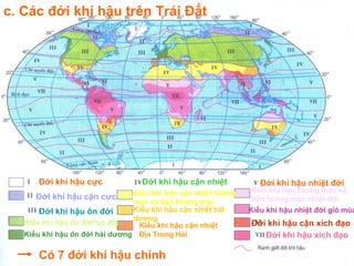 c. Các đới khí hậu trên Trái Đất




      Đới khí hậu cực             ĐớI khí hậu cận nhiệt           Đới khí hậu nhiệt đới
                                Kiểu khí hậu cận nhiệt hoang   Kiểu khí hậu hoang mạc và
      ĐớI khí hậu cận cực                                      bán hoang mạc nhiệt đới
                                mạc và bán hoang mạc
       ĐớI khí hậu ôn đới       Kiểu khí hậu cận nhiệt hảI     Kiểu khí hậu nhiệt đới gió mùa
                                dương
   Kiểu khí hậu ôn đớI lục địa   Kiểu khí hậu cận nhiệt        Đới khí hậu cận xích đạo
   Kiểu khí hậu ôn đới hải dương Địa Trung Hải                    Đới khí hậu xích đạo

      Có 7 đới khí hậu chính
 
