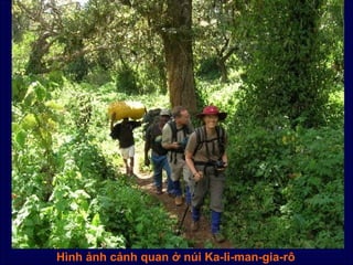 Hình ảnh cảnh quan ở núi Ka-li-man-gia-rô
 