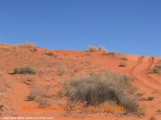 Một số hình ảnh về cảnh quan ở Bắc Mỹ.
 