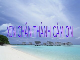 Quy luật địa đới và phi địa đới