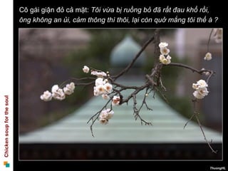 Cô gái giận đỏ cả mặt:  Tôi vừa bị ruồng bỏ đã rất đau khổ rồi,  ông không an ủi, cảm thông thì thôi, lại còn quở mắng tôi thế à ?  