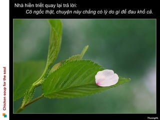 Nhà hiền triết quay lại trả lời: Cô ngốc thật, chuyện này chẳng có lý do gì để đau khổ cả.  