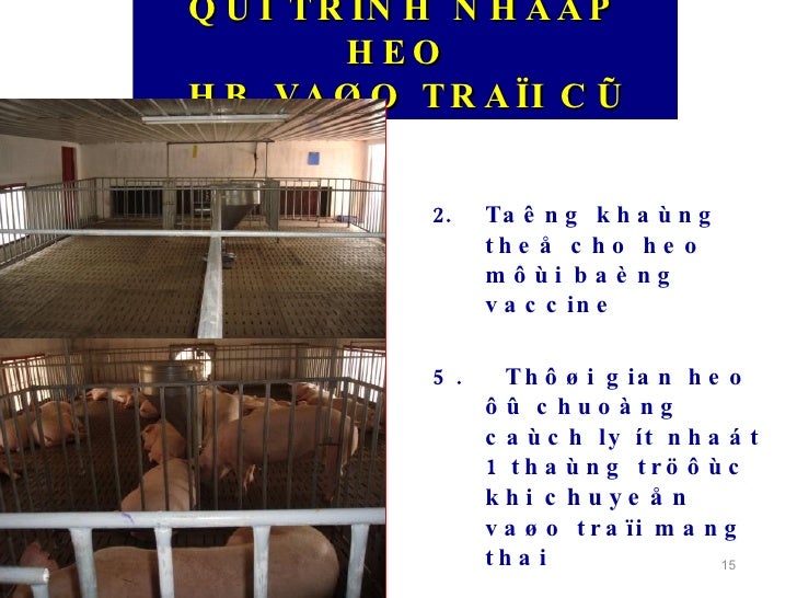 Quy Trinh Cn Heo Nai Cn