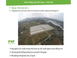 Quy trình sản xuất rau an toàn FVF - Mrsach.com.vn