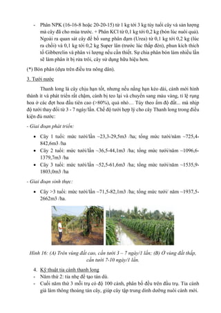 - Phân NPK (16-16-8 hoặc 20-20-15) từ 1 kg tới 3 kg tùy tuổi cây và sản lượng
mà cây đã cho mùa trước. + Phân KCl từ 0,1 k...