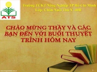 www.trungtamtinhoc.edu.vn
Trường TCKT Nông Nghiệp TP Hồ Chí Minh
Lớp: Chăn Nuôi Thú Y -40B
1
 