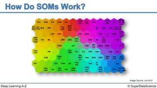Deep Learning A-Z™: Self Organizing Maps (SOM) - How Do SOMs Work? | PPTX