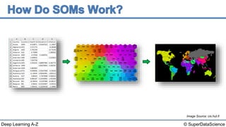 Deep Learning A-Z™: Self Organizing Maps (SOM) - How Do SOMs Work? | PPTX