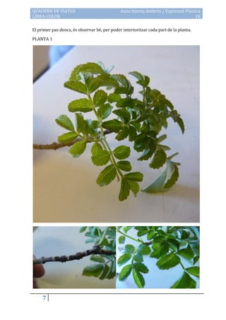 QUADERN DE VIATGE                             Anna Iniesta Ambròs / Expressió Plàstica
LÍNEA-COLOR                                                                        1K

El primer pas doncs, és observar bé, per poder interioritzar cada part de la planta.

PLANTA 1




     7
 