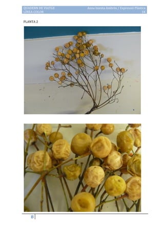 QUADERN DE VIATGE   Anna Iniesta Ambròs / Expressió Plàstica
LÍNEA-COLOR                                              1K

PLANTA 2




    8
 