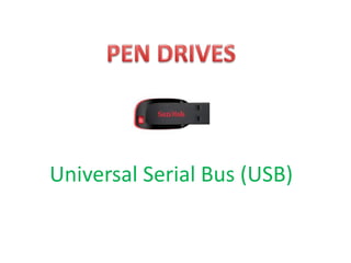 Universal Serial Bus (USB)
 