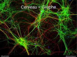 Cerveau = GrapheCerveau = Graphe
#QueDuWeb @SylvainDeaure
 