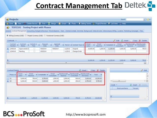 Deltek Vision Manual