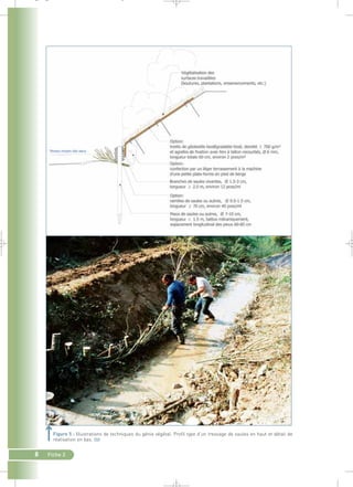 _ _ g 
Figure 5 : Illustrations de techniques du génie végétal. Profil type d’un tressage de saules en haut et détail de 
réalisation en bas.` 
8 Fiche 2 
 