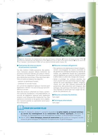 Déflecteur 
2e épi 
1er épi 
d) 
_ _ g 
Figure 6 : Illustration de végétalisation avec des techniques indirectes. a) Erosion de berge concave (1996). b) 
Protection réalisée avec des déflecteurs (1997). c) Vue du site en 2001 (4 ans après travaux). d) Vue du site et de 
la « ripisylve » reconstituée en 2006, soit une dizaine d’années après travaux.` 
■ Mesures connexes obligatoires 
– Des opérations de végétalisation doivent obligatoi-rement 
s’accompagner de notions d’entretien et 
de garantie de l’entreprise titulaire du marché de 
travaux, ceci idéalement durant les 3 premières 
saisons végétatives qui suivent le chantier (notions 
à définir dans le cahier des charges des travaux). 
– Veiller à protéger les surfaces plantées (au 
moins durant les trois premières saisons végé-tatives) 
de toute déprédation (bétail, rongeurs, 
chiens, etc.), par des clôtures provisoires de 
protections, des protections anti-rongeurs, des 
paillages, des panneaux informatifs sur les tra-vaux 
réalisés et remerciant tout usager de res-pecter 
les plantations, etc. 
■ Mesures connexes facultatives 
Sans objet 
■ Techniques alternatives 
Sans objet 
FICHE 2 
Création d’une ripisylve 
9 
■ Contraintes de mise en oeuvre 
et précautions à prendre 
Sur des rivières à faible puissance, des planta-tions 
riveraines peuvent réduire fortement les 
processus d’érosion latérale, par ailleurs intéres-sants 
pour la restauration d’un fonctionnement 
plus naturel de cours d’eau. Il faut alors bien iden-tifier 
et mettre en balance les objectifs : 
– garantir la dynamique fluviale ; 
– améliorer le corridor fluvial. 
Un surcroît de végétation ligneuse riveraine peut 
également « fermer » le cours d’eau qui aura ten-dance 
à s’inciser. 
Dans des secteurs urbanisés où l’enjeu « protec-tion 
contre les inondations » est prépondérant, un 
surcroît de végétation ligneuse peut également 
amener à une rehausse des niveaux de crue. Des 
opérations d’entretien et de gestion de la végéta-tion 
riveraine plantée ou spontanée seront peut-être 
nécessaires. 
POUR EN SAVOIR PLUS 
Adam P., Debiais N., Gerber F., Lachat B. (à paraître). Le génie végétal, un manuel technique 
au service de l’aménagement et la restauration des milieux aquatiques. Ministère de 
l’Ecologie, du Développement et de l’Aménagement durables. La documentation Française. 
Zeh H. (2007). Génie biologique, manuel de construction (guide publié en 5 langues). Société 
suisse du génie biologique et Fédération Européenne pour le génie biologique. 
 