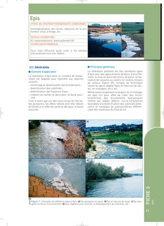 FICHE 3 
Epis 
11 
■ Principes généraux 
La littérature présente de très nombreux types 
d’épis avec des agencements de blocs d’enroche-ment, 
la mise en place de troncs, de pieux, la réa-lisation 
de caissons ou casiers en rondins remplis 
de cailloux (figure 69), l’emploi de techniques 
issues du génie végétal (épis en fascines de sau-les, 
en tressages, etc.), etc. 
Rétrécissant localement la largeur du lit d’étiage, 
les épis ont pour effet de créer des micro-turbulences 
des écoulements hydrauliques 
(même par faibles débits) ; micro-turbulences 
favorables à la diversification des substrats (alter-nance 
et mosaïque de granulométries différen-ciées 
des matériaux du fond du lit). 
_ _ g 
Epis 
TYPES DE DYSFONCTIONNEMENTS CONCERNES 
Homogénéisation des faciès, réduction de la pro-fondeur 
d’eau d’étiage, etc. 
NIVEAU D’AMBITION 
R1 essentiellement, éventuellement R2 
SCORE GEODYNAMIQUE 
Tous mais efficacité quasi nulle si les vitesses 
d’écoulement sont très faibles 
Généralités 
■ Contexte d’application 
La réalisation d’épis dans un contexte de restau-ration 
est adaptée pour répondre aux objectifs 
suivants : 
– recentrage et dynamisation des écoulements ; 
– diversification des substrats ; 
– diversification des hauteurs d’eau ; 
– création de caches et abris pour la faune pisci-cole. 
Il est à noter que sur des cours d’eau de très fai-ble 
puissance, les effets induits sont très réduits 
et limités à un effet de cache et abri pour la faune 
piscicole. 
Figure 7 : Exemples de différents types d’épis. a) Epi plongeant en pieux. b) Epi en fascine de saule. c) Epi plon-geant 
en blocs d’enrochement. d) Epis végétaux pour favoriser le développement de roselières.` 
a) 
 