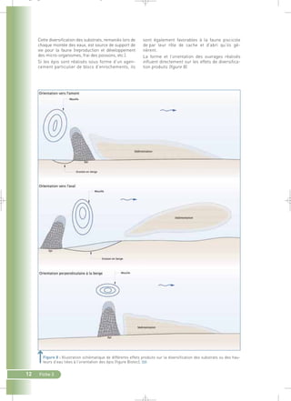 _ _ g 
12 Fiche 3 
sont également favorables à la faune piscicole 
de par leur rôle de cache et d’abri qu’ils gé-nèrent. 
La forme et l’orientation des ouvrages réalisés 
influent directement sur les effets de diversifica-tion 
produits (figure 8). 
Cette diversification des substrats, remaniés lors de 
chaque montée des eaux, est source de support de 
vie pour la faune (reproduction et développement 
des micro-organismes, frai des poissons, etc.). 
Si les épis sont réalisés sous forme d’un agen-cement 
particulier de blocs d’enrochements, ils 
Figure 8 : Illustration schématique de différents effets produits sur la diversification des substrats ou des hau-teurs 
d’eau liées à l’orientation des épis (figure Biotec).` 
 