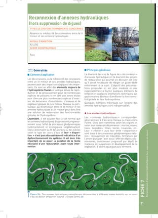 FFIICCHHEE 7 7 
Reconnexion d’annexes hydrauliques (hors suppression de digues) 
31 
_ _ g 
Reconnexion d’annexes hydrauliques 
(hors suppression de digues) 
TYPES DE DYSFONCTIONNEMENTS CONCERNES 
Absence ou médiocrité des connexions entre le lit 
mineur et ses annexes hydrauliques 
NIVEAU D’AMBITION 
R2 à R3 
SCORE GEODYNAMIQUE 
Généralités 
■ Contexte d’application 
Les déconnexions, ou la médiocrité des connexions 
entre un lit mineur et ses annexes hydrauliques, 
peuvent avoir des impacts écologiques très impor-tants. 
Ce sont en effet des éléments majeurs de 
l’hydrosystème fluvial en tant que zones de repro-duction 
et de grossissement pour de nombreuses 
espèces de poissons et en tant que zones vitales 
pour d’encore plus nombreuses espèces d’insec-tes, 
de batraciens, d’amphibiens, d’oiseaux et de 
végétaux typiques de ces milieux fluviaux ou péri-fluviaux. 
La reconnexion entre le lit mineur et les 
annexes hydrauliques du lit majeur peut donc être 
une solution de restauration des fonctionnalités 
globales de l’hydrosystème. 
Cependant, il est souvent tout à fait normal que 
les annexes hydrauliques disparaissent progressi-vement 
sous l’effet de processus géodynamiques 
(sédimentation) et écologiques (végétalisation). 
Elles s’estompent au fil des années ou des siècles 
selon le type de cours d’eau et leur « dispari-tion 
» n’est pas nécessairement indicatrice d’un 
dysfonctionnement du système. Il est donc très 
important de se poser la question de la réelle 
nécessité d’une restauration avant toute inter-vention. 
■ Principes généraux 
La diversité des cas de figure de « déconnexion » 
d’annexes hydrauliques et la diversité des projets 
de restauration qui pourrait en découler est telle 
qu’il serait nécessaire de rédiger un guide dédié 
entièrement à ce sujet. L’objectif des préconisa-tions 
proposées ici est plus modeste et vise 
essentiellement à fournir quelques éléments de 
réflexion et quelques orientations techniques aux 
gestionnaires désireux d’améliorer la fonctionna-lité 
globale de leur hydrosystème. 
Quelques éléments théoriques sur l’origine des 
annexes hydrauliques sont indispensables. 
 Les annexes hydrauliques 
Les « annexes hydrauliques » correspondent 
généralement à d’anciens chenaux ou tracés de la 
rivière. Elles sont nommées selon les régions et 
selon leur niveau de déconnexion : mortes, noues, 
raies, baissières, lônes, boires, couasnes, etc. 
Leur « création » puis leur lente « disparition » 
sont dues à des processus géodynamiques natu-rels 
: recoupement de méandres, fermeture par 
l’amont puis par l’aval sous l’effet de dépôts allu-vionnaires, 
comblement progressif par dépôt de 
matières en suspension et développement de la 
végétation, d’abord aquatique puis terrestre. 
Tous 
Figure 26 : Des annexes hydrauliques naturellement déconnectées à différents stades évolutifs sur un cours 
d’eau du bassin amazonien (source : Google Earth).` 
 