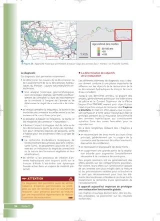 _ _ g 
Figure 28 : Approche historique permettant d’évaluer l’âge des annexes (les « mortes » en Franche-Comté). 
§ATTENTION  
34 Fiche 7 
 La détermination des objectifs 
de la restauration 
Les différents éléments de diagnostic vus ci-des-sus 
doivent conduire à une phase importante de 
réflexion sur les objectifs de la restauration de la 
ou des annexes hydrauliques du tronçon de cours 
d’eau considéré. 
Jusqu’à ces dernières années, la plupart des 
projets, généralement portés par les fédérations 
de pêche et le Conseil Supérieur de la Pêche 
(aujourd’hui ONEMA), avaient pour objectif prin-cipal 
et parfois unique de restaurer des frayères 
à brochets. Il était en effet apparu que ce pois-son 
carnassier à forte valeur halieutique était le 
principal perdant de la mauvaise fonctionnalité 
des annexes hydrauliques qui constituaient 
autrefois l’une des zones favorables pour sa 
reproduction. 
On a donc longtemps restauré des « frayères à 
brochets » : 
• en reconnectant les bras morts au cours d’eau 
principal, généralement par « curage » de la 
connexion aval (arasement des atterrissements, 
évacuation des embâcles) ; 
• en recreusant et élargissant ces bras morts ; 
• en supprimant une grande partie de la végéta-tion 
arborée pour augmenter l’ensoleillement 
nécessaire à la croissance des embryons ; 
Ces projets pionniers ont eu généralement des 
effets positifs sur les compartiments piscicoles. 
Par contre, leurs effets sur l’amélioration globale 
de ces annexes sont plus mitigés dans la mesure 
où les préconisations valables pour le brochet ne 
le sont pas nécessairement pour tous les élé-ments 
des biocénoses inféodées à ces bras morts 
(notamment la recherche d’une optimisation de 
l’ensoleillement). 
Il apparaît aujourd’hui important de privilégier 
une restauration fonctionnelle globale. 
Les maîtres d’ouvrage devront donc, dès les étu-des 
préalables, se positionner sur les résultats 
recherchés : 
Le diagnostic 
Ce diagnostic doit permettre notamment : 
• de déterminer les causes de la déconnexion ou 
de l’assèchement de la ou des annexes hydrau-liques 
du tronçon : causes naturelles/artificiel-les/ 
mixtes. 
 Une analyse historique géomorphologique, 
voire de biologie végétale, permettra éventuel-lement 
de connaître la date de rescindement 
de la sinuosité à l’origine de l’annexe et de 
déterminer le degré de « maturité » de celle-ci 
; 
• de mieux connaître la fréquence, la durée et les 
modalités de connexion actuelles entre la ou les 
annexes et le cours d’eau principal ; 
• si possible d’évaluer la fréquence, la durée et 
les modalités de connexion « naturelles » ; 
• d’évaluer l’impact écologique réel de cette ou de 
ces déconnexions (perte de zones de reproduc-tion 
pour certaines espèces de poissons, perte 
d’habitat pour les biocénoses liées à ce type de 
milieu). 
 La recherche d’indicateurs biologiques de 
fonctionnement des annexes peut être intéres-sante 
(ainsi, le peuplement piscicole de l’an-nexe 
est un indicateur du degré de connectivité 
ou la nature des formations végétales et leur 
stratification) ; 
• de vérifier si les processus de création d’an-nexes 
hydrauliques sont toujours actifs sur le 
tronçon d’étude (c’est-à-dire une dynamique 
fluviale active dans un espace de mobilité pré-servé). 
Ce diagnostic doit permettre aussi de vérifier 
l’absence d’espèces patrimoniales ou proté-gées 
au sein de l’annexe que l’on souhaiterait 
restaurer. Leur présence pourrait se traduire 
par une impossibilité réglementaire de réaliser 
l’opération de restauration. § 
 
