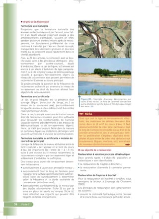 36 Fiche 7 
§NOTA 
 Les objectifs de la restauration 
Restauration à vocation piscicole et halieutique 
Deux grands types « d’objectifs piscicoles et 
halieutiques » sont identifiables : 
• la restauration de frayères à brochets ; 
• la restauration d’annexes à connexion perma-nente. 
Restauration de frayères à brochet 
Pour la restauration de frayères à brochet, nous 
renvoyons le lecteur à l’ouvrage de Chancerel 
(2003). 
Les principes de restauration sont généralement 
les suivants : 
• assurer la continuité hydraulique entre l’annexe 
et le cours d’eau, au moins une partie de l’année ; 
 Origine de la déconnexion 
Fermeture aval naturelle 
Rappelons que la fermeture naturelle des 
annexes se fait initialement par l’amont, sous l’ef-fet 
d’un dépôt alluvial important couplé à des 
amoncellements d’embâcles. Souvent en effet, 
pendant plusieurs années encore après le recou-pement, 
un écoulement préférentiel de crue 
continue à transiter par l’ancien chenal recoupé, 
transportant des sédiments grossiers et des bois 
morts qui se déposent assez rapidement dans ce 
chenal abandonné. 
Puis, au fil des années, la connexion aval se bou-che 
aussi suite à des processus identiques : allu-vionnement 
par contre-courant, dépôt 
d’embâcles. Dans ce cas de figure, si l’annexe est 
encore à un stade d’évolution de type parapota-mon 
1 ou 2, de simples travaux de débroussaillage 
couplés à quelques terrassements légers au 
niveau de la connexion aval peuvent permettre de 
reconnecter l’annexe au cours principal. 
Se posera ensuite la question de la fréquence de 
reconnexion souhaitée qui orientera le niveau de 
terrassement au droit du bouchon alluvial (voir 
objectifs de la restauration). 
Fermeture aval artificielle 
Le cas le plus fréquent est la présence d’un 
ouvrage (digue, protection de berge, etc.) au 
niveau de la connexion aval, particulièrement 
lorsque les annexes elles-mêmes sont dues à des 
rescindements artificiels. 
Dans ce cas, la simple ouverture de la structure au 
droit de l’ancienne connexion peut être suffisante 
pour restaurer les fonctionnalités de l’annexe 
(associée comme précédemment à des travaux de 
débroussaillages et de terrassements légers). 
Nota : ce n’est pas toujours facile dans la mesure 
où certaines digues ou protections de berges sont 
souvent surmontées d’une voie de communication. 
Fermeture naturelle ou artificielle + incision du 
cours d’eau principal 
Lorsque la différence de niveau altitudinal entre le 
fond « naturel » de l’annexe et le fond du cours 
d’eau est importante (de l’ordre de 1 à 1.5 m), 
suite à une incision du lit mineur notamment, la 
reconnexion « simple » par terrassement léger et 
enlèvement d’embâcles ne suffit plus. 
Des travaux plus lourds de terrassement devien-nent 
nécessaires : 
• surcreusement à la jonction annexe/lit mineur ; 
• surcreusement tout le long de l’annexe pour 
regagner des surfaces potentiellement submer-sibles 
(cote de surcreusement à déterminer 
selon la fréquence et la durée souhaitée de 
connexion et de submersion) ; 
• éventuellement surélèvement du lit mineur par 
des dépôts alluvionnaires (fiche 5) ou par la 
mise en place de seuils ou rampes (fiche 6), 
mais attention aux impacts qui peuvent être 
négatifs de telles interventions. 
Figure 30 : Exemple d’annexe déconnectée sur 
cours d’eau incisé. Le fond de l’annexe (vue de face 
sur la photo) est perché à plus d’1m du niveau moyen 
des eaux.` 
Quel que soit le type de terrassements effec-tués, 
les matériaux de déblais devraient être 
remis dans le lit actif du cours d’eau. Il faut 
absolument éviter de créer des « remblais » tout 
le long de l’annexe reconnectée ou au droit de la 
jonction annexe/lit vif, ceci d’une part pour limi-ter 
la prolifération d’espèces végétales xéno-phytes 
et pour éviter de créer des obstacles aux 
écoulements (digues, merlons, etc.) entraînant 
de nouveaux dysfonctionnements. § 
_ _ g 
 