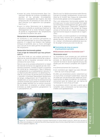 FICHE 7 
Reconnexion d’annexes hydrauliques (hors suppression de digues) 
37 
_ _ g 
• araser les zones d’alluvionnements dans l’an-nexe 
pour étendre les surfaces inondables pro-ductives 
et les périodes d’inondabilité. 
Attention : l’inondabilité des frayères doit être 
temporaire (8 à 10 semaines en mars-avril). On 
peut chercher à se rapprocher d’un parapota-mon 
2 ou 3 ; 
• ouvrir le milieu (élimination de la végétation 
arbustive et arborée en excès) pour favoriser le 
développement de la strate herbacée (support 
de ponte) et l’augmentation des températures 
en période d’incubation des oeufs. 
Restauration de connexions permanentes 
On recherche ici une connexion permanente ou 
quasi-permanente avec le cours d’eau (type para-potamon 
1). L’objectif est d’obtenir des habitats 
lentiques et profonds, plus ou moins ombragés, 
pour l’accueil d’une vaste gamme d’espèces/sta-des 
de poissons. 
Restauration fonctionnelle globale 
C’est ce type de restauration que nous préconi-sons 
ici. 
Il doit être fondé sur une analyse pertinente et 
objective du caractère dysfonctionnel de la décon-nexion 
ou de la mauvaise connexion entre les 
annexes et le cours d’eau. 
Dans le cas où les annexes présenteront un degré 
de maturité normal et non aggravé par des inter-ventions 
humaines, il faudra se poser la question 
de l’utilité de la « restauration » (faut-il restaurer 
un parapotamon ou un paléopotamon naturels ?). 
La réponse peut être positive si la dynamique flu-viale 
du cours d’eau ne permet plus la recréation 
« naturelle » d’annexes hydrauliques (protections 
de berges, endiguements, etc.). Il peut être sou-haitable 
dans ce cas de limiter le vieillissement de 
certaines annexes pour garantir l’existence de dif-férents 
stades évolutifs sur le tronçon concerné. 
On tendra donc à conserver un certain nombre 
d’annexes au stade eupotamon, parapotamon 1 à 
3, plésiopotamon, etc. 
Dans le cas d’un dysfonctionnement avéré (ferme-ture 
par un ouvrage, remblaiement, incision accé-lérée 
du lit mineur) des travaux de restauration 
fonctionnelle globale sont envisageables. 
Pour une restauration fonctionnelle globale, les 
principes que l’on peut recommander font appel 
aux techniques d’aménagement par génie écolo-gique 
qui préconisent notamment l’adaptation 
des formes des fonds et des berges de chaque 
annexe en fonction de son « idéal » écologique (le 
type fonctionnel duquel on essaiera de se rappro-cher). 
Dans ce sens, on visera à produire un remodelage 
varié des talus riverains (et si possible avec des 
pentes douces), une variation des profondeurs et 
un « chenal » d’écrêtement préférentiel pour évi-ter 
de piéger la faune piscicole à la décrue. 
■ Contraintes de mise en oeuvre 
et précautions à prendre 
 Reconnexion amont ou reconnexion aval ? 
Reconnexion amont 
La reconnexion d’une annexe par son extrémité 
amont n’est a priori pas naturelle (on sait que les 
annexes se déconnectent prioritairement par 
l’amont). Sa mise en oeuvre engendre de plus des 
études puis des travaux complexes afin d’optimi-ser 
: 
• le dimensionnement de l’ouverture ; 
• son orientation par rapport aux axes d’écoule-ment 
du cours d’eau principal. 
En effet, une alimentation amont, notamment sur 
un cours d’eau à transport solide élevé, risque de 
se solder par une fermeture très rapide par sural-luvionnement 
et dépôt d’embâcles. Un surdimen-sionnement 
peut se traduire par une reprise de 
l’annexe par le cours d’eau principal. 
La reconnexion amont n’est donc a priori pas à 
conseiller, sauf, si nécessaire, sur les cours d’eau 
à faible score géodynamique. 
Figure 31 : Terrassements de berges d’annexes hydrauliques en pente élevée à gauche, offrant peu de place à 
la diversité biologique et variations de profils beaucoup plus doux à droite, devant permettre la reconstitution de 
séries végétales adaptées.` 
 