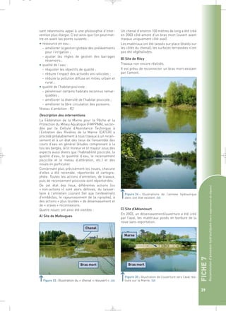 FICHE 7 
Reconnexion d’annexes hydrauliques (hors suppression de digues) 
39 
sant néanmoins appel à une philosophie d’inter-vention 
plus élargie. C’est ainsi que l’on peut met-tre 
en avant les points suivants : 
• ressource en eau : 
– améliorer la gestion globale des prélèvements 
pour l’irrigation ; 
– ajuster les règles de gestion des barrages 
réservoirs ; 
• qualité de l’eau : 
– réajuster les objectifs de qualité ; 
– réduire l’impact des activités vini-viticoles ; 
– réduire la pollution diffuse en milieu urbain et 
rural ; 
• qualité de l’habitat piscicole : 
– pérenniser certains habitats reconnus remar-quables 
; 
– améliorer la diversité de l’habitat piscicole ; 
– améliorer la libre circulation des poissons. 
Niveau d’ambition : R2 
Description des interventions 
La Fédération de la Marne pour la Pêche et la 
Protection du Milieu Aquatique (FMPPMA), secon-dée 
par la Cellule d’Assistance Technique à 
l’Entretien des Rivières de la Marne (CATER) a 
procédé préalablement à tous travaux à un recen-sement 
et à un état des lieux de l’ensemble des 
cours d’eau en général (études comprenant à la 
fois les berges, le lit mineur et lit majeur sous des 
aspects aussi divers que l’habitabilité piscicole, la 
qualité d’eau, la quantité d’eau, le recensement 
piscicole et le niveau d’altération, etc.) et des 
noues en particulier. 
Concernant plus précisément les noues, chacune 
d’elles a été recensée, répertoriée et cartogra-phiée. 
Toutes les actions d’entretien, de travaux, 
puis de recensement piscicole sont répertoriées. 
De cet état des lieux, différentes actions (ou 
« non-actions ») sont alors définies, du laisser-faire 
à l’entretien courant (tel que l’enlèvement 
d’embâcles, le rajeunissement de la ripisylve), à 
des actions « plus lourdes » de désenvasement et 
de « vraies » reconnexions. 
Quatre noues ont ainsi été visitées : 
A) Site de Matougues 
Chenal 
Bras mort 
Figure 33 : Illustration du « chenal » réouvert ».` 
Un chenal d’environ 100 mètres de long a été créé 
en 2003 côté amont d’un bras mort (ouvert avant 
travaux uniquement côté aval). 
Les matériaux ont été laissés sur place (étalés sur 
les côtés du chenal), les surfaces terrassées n’ont 
pas été végétalisées. 
B) Site de Récy 
Travaux non encore réalisés. 
Il est prévu de reconnecter un bras mort existant 
par l’amont. 
Figure 34 : Illustrations de l’annexe hydraulique 
dans son état existant.` 
C) Site d’Ablancourt 
En 2003, un désenvasement/ouverture a été créé 
par l’aval, les matériaux posés en bordure de la 
noue sans exportation. 
Marne 
Bras mort 
Figure 35 : Illustration de l’ouverture vers l’aval réa-lisée 
sur la Marne.` 
_ _ g 
 