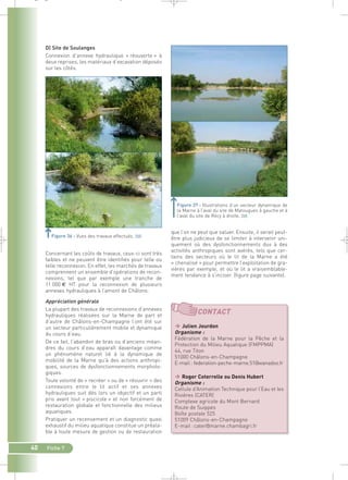 D) Site de Soulanges 
Connexion d’annexe hydraulique « réouverte » à 
deux reprises, les matériaux d’excavation déposés 
sur les côtés. 
Figure 36 : Vues des travaux effectués.` 
Concernant les coûts de travaux, ceux-ci sont très 
faibles et ne peuvent être identifiés pour telle ou 
telle reconnexion. En effet, les marchés de travaux 
comprennent un ensemble d’opérations de recon-nexions, 
40 Fiche 7 
tel que par exemple une tranche de 
11 000 € HT pour la reconnexion de plusieurs 
annexes hydrauliques à l’amont de Châlons. 
Appréciation générale 
La plupart des travaux de reconnexions d’annexes 
hydrauliques réalisées sur la Marne de part et 
d’autre de Châlons-en-Champagne l’ont été sur 
un secteur particulièrement mobile et dynamique 
du cours d’eau. 
De ce fait, l’abandon de bras ou d’anciens méan-dres 
du cours d’eau apparaît davantage comme 
un phénomène naturel lié à la dynamique de 
mobilité de la Marne qu’à des actions anthropi-ques, 
sources de dysfonctionnements morpholo-giques. 
Toute volonté de « recréer » ou de « réouvrir » des 
connexions entre le lit actif et ses annexes 
hydrauliques suit dès lors un objectif et un parti 
pris avant tout « piscicole » et non forcément de 
restauration globale et fonctionnelle des milieux 
aquatiques. 
Pratiquer un recensement et un diagnostic quasi 
exhaustif du milieu aquatique constitue un préala-ble 
à toute mesure de gestion ou de restauration 
Figure 37 : Illustrations d’un secteur dynamique de 
la Marne à l’aval du site de Matougues à gauche et à 
l’aval du site de Récy à droite.` 
que l’on ne peut que saluer. Ensuite, il serait peut-être 
plus judicieux de se limiter à intervenir uni-quement 
où des dysfonctionnements dus à des 
activités anthropiques sont avérés, tels que cer-tains 
des secteurs où le lit de la Marne a été 
« chenalisé » pour permettre l’exploitation de gra-vières 
par exemple, et où le lit a vraisemblable-ment 
tendance à s’inciser. (figure page suivante). 
CONTACT 
 Julien Jourdon 
Organisme : 
Fédération de la Marne pour la Pêche et la 
Protection du Milieu Aquatique (FMPPMA) 
44, rue Titon 
51000 Châlons-en-Champagne 
E-mail : federation-peche-marne.51@wanadoo.fr 
 Roger Coterrelle ou Denis Hubert 
Organisme : 
Cellule d’Animation Technique pour l’Eau et les 
Rivières (CATER) 
Complexe agricole du Mont Bernard 
Route de Suippes 
Boîte postale 525 
51009 Châlons-en-Champagne 
E-mail :cater@marne.chambagri.fr 
_ _ g 
 