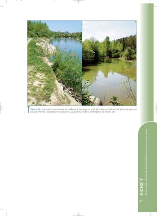 FICHE 7 
Reconnexion d’annexes hydrauliques (hors suppression de digues) 
41 
_ _ g 
Figure 38 : Illustration d’un secteur de la Marne à Soulange où le lit de la Marne a été rectifié (photo de gauche) 
pour permettre l’exploitation de gravières, aujourd’hui en bras mort (photo de droite).` 
 