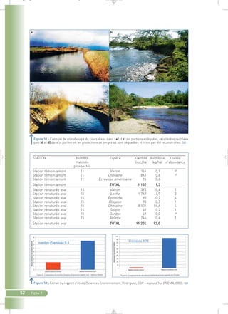 _ _ g 
Figure 51 : Exemple de morphologie du cours d’eau dans : a) et c) les portions endiguées, recalibrées rectifiées 
puis b) et d) dans la portion où les protections de berges se sont dégradées et n’ont pas été reconstruites.` 
52 Fiche 9 
d) 
STATION Nombre Espèce Densité Biomasse Classe 
Habitats (ind./ha) (kg/ha) d’abondance 
prospectés 
Station témoin amont 11 Vairon 144 0,1 P 
Station témoin amont 11 Chevaine 862 0,6 P 
Station témoin amont 11 Ecrevisse américaine 96 0,6 
Station témoin amont TOTAL 1 102 1,3 
Station renaturée aval 15 Vairon 393 0,4 1 
Station renaturée aval 15 Loche 1 769 4,9 2 
Station renaturée aval 15 Epinoche 98 0,2 4 
Station renaturée aval 15 Blageon 98 0,3 1 
Station renaturée aval 15 Chevaine 8 501 86,6 4 
Station renaturée aval 15 Goujon 49 0,2 1 
Station renaturée aval 15 Gardon 49 0,0 P 
Station renaturée aval 15 Ablette 246 0,4 1 
Station renaturée aval TOTAL 11 204 93,0 
Figure 52 : Extrait du rapport d’étude (Sciences Environnement, Rodriguez, CSP – aujourd’hui ONEMA, 2002).` 
 