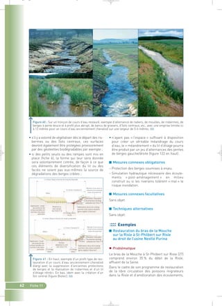 _ _ g 
Figure 60 : Sur un tronçon de cours d’eau restauré, exemple d’alternance de radiers, de mouilles, de risbermes, de 
berges à pente douce et à profil plus abrupt, de bancs de graviers, d’îlots centraux, etc., avec une emprise limitée ici 
à 12 mètres pour un cours d’eau anciennement chenalisé sur une largeur de 5-6 mètres.` 
• n’ayant pas « l’espace » suffisant à disposition 
pour créer un véritable méandrage du cours 
d’eau, le « méandrement » du lit d’étiage pourra 
être produit par un jeu d’alternances des pentes 
de berges gauche/droite (figure 122 en haut). 
■ Mesures connexes obligatoires 
– Protection des berges soumises à enjeu. 
– Simulation hydraulique nécessaire des écoule-ments 
« post-aménagement » en milieu 
construit ou si les riverains tolèrent « mal » le 
risque inondation. 
■ Mesures connexes facultatives 
Sans objet. 
■ Techniques alternatives 
Sans objet. 
Exemples 
■ Restauration du bras de la Mouche 
sur la Risle à St-Philbert sur Risle 
au droit de l’usine Nestlé Purina 
 Problématique 
Le bras de la Mouche à St-Philbert sur Risle (27) 
comprend environ 35 % du débit de la Risle, 
affluent de la Seine. 
Dans le cadre de son programme de restauration 
de la libre circulation des poissons migrateurs 
dans la Risle et d’amélioration des écoulements, 
• s’il y a volonté de végétaliser dès le départ des ris-bermes 
Lit mineur élargi en fonction de l’emprise disponible 
Lit mineur chenalisé (L) 
Végétalisation “simple” 
sans protection des 
surfaces exondées non 
soumises à des enjeux 
particuliers 
Risberme ou 
banc alluvial 
(voir fiche n° 4) 
Lit d’étiage rétréci 
(L/3) 
Lit mineur élargi en fonction de l’emprise disponible 
Déblai 
Végétalisation “simple” 
sans protection des 
surfaces exondées non 
soumises à des enjeux 
particuliers Lit d’étiage 
62 Fiche 11 
ou des îlots centraux, ces surfaces 
devront également être protégées provisoirement 
par des géotextiles biodégradables par exemple ; 
• si des petits seuils ou des rampes sont mis en 
place (fiche 6), la forme qui leur sera donnée 
sera volontairement cintrée, de façon à ce que 
ces éléments de diversification du lit ou des 
faciès ne soient pas eux-mêmes la source de 
dégradations des berges créées ; 
Remblai 
Maintien d’une voirie ou 
infrastructure existante 
(enjeu de protection) 
Démolition / évacuation 
de protections de berge 
existantes (voir fiche n° 9) 
Stabilisation douce de la berge 
soumise à des enjeux existants 
(génie végétal à favoriser) 
Lit mineur chenalisé (L) 
rétréci 
Remblai 
Maintien d’une voirie ou 
infrastructure existante 
(enjeu de protection) 
Démolition / évacuation 
de protections de berge 
existantes (voir fiche n° 9) 
Ilot 
(végétalisé ou non) 
(voir fiche n° 5) Stabilisation douce de la berge 
Lit d’étiage 
rétréci 
Remblai 
soumise à des enjeux existants 
(génie végétal à favoriser) 
Figure 61 : En haut, exemple d’un profil type de res-tauration 
d’un cours d’eau anciennement chenalisé 
élargi avec la suppression d’anciennes protections 
de berges et la réalisation de risbermes et d’un lit 
d’étiage rétréci. En bas, idem avec la création d’un 
îlot central (figure Biotec).` 
 