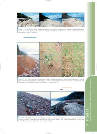 FICHE 12 
Diversification de berges sur les grands cours d’eau navigués 
71 
_ _ g 
Figure 71 : (12.09.01) Les restes des anciens gabions sont démolis, l’ensemble de la berge est terrassé en pente 
douce, les blocs de la protection sous-fluviale et de pied de berge sont acheminés sur le site. Les terrassements se 
déroulent de l’amont à l’aval.` 
Figure 72 : (07.11.01) Jour de la réception des travaux. Vue d’ensemble de la berge réaménagée avec en premier 
plan la transition amont (berge raide/berge en pente douce), les plantations d’arbustes en haut de berge et le 
début de reprise des ensemencements à travers les géotextiles.` 
Figure 73 : (27.03.02) Evolution de la berge aménagée 4 mois après les travaux, avec à gauche de nombreux 
déchets et pas que « végétaux » qui sont apportés par la marée. A droite : par endroits, les végétaux ont déjà tota-lement 
disparu avec les géotextiles qui sont déchirés.` 
 