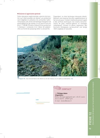 FICHE 12 
Diversification de berges sur les grands cours d’eau navigués 
73 
 Evolution et appréciation générale 
Cette réalisation expérimentale a permis de mon-trer 
qu’il était possible de réaliser une protection 
semi-végétale en présence de contraintes hydro-mécaniques 
très fortes de batillage (navigation de 
grand gabarit) et de marées, et ceci pour le tiers du 
prix (~ 1 200 € HT/mètre linéaire) d’une protection 
« classique » composée d’un rideau de palplan-ches 
surmonté de parpaings béton ou de perrés. 
Cependant, ce choix technique nécessite inévita-blement 
une emprise foncière supplémentaire et 
fait encore pour l’instant malheureusement appel 
à des artifices techniques non vivants (enroche-ments 
de pied, matelas-gabions et treillages 
métalliques), limitant la pleine expression des 
fonctions biologiques qu’assurerait une berge 
100 % végétale et naturelle. 
Figure 76 : Vue d’ensemble et de détail du site de travaux un an après sa réalisation.` 
CONTACT 
 Philippe Adam 
Organisme : 
Biotec Biologie appliquée sarl – 65-67, cours 
de la Liberté - 69003 Lyon 
E-mail : biotec@biotec.fr 
_ _ g 
 
