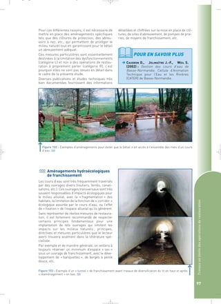 _ _ g 
Pour ces différentes raisons, il est nécessaire de 
mettre en place des aménagements spécifiques 
tels que des clôtures de protection, des abreu-voirs 
à nez, etc., qui permettent de protéger le 
milieu naturel tout en garantissant pour le bétail 
un abreuvement adéquat. 
Ces mesures particulières sont essentiellement 
destinées à la limitation des dysfonctionnements 
(catégorie L) et non à des opérations de restau-ration 
à proprement parler (catégorie R), c’est 
pourquoi elles ne sont pas revues en détail dans 
le cadre de la présente étude. 
Diverses publications et études techniques très 
bien documentées fournissent des informations 
détaillées et chiffrées sur la mise en place de clô-tures, 
de sites d’abreuvement, de pompes de prai-ries, 
de moyens de franchissement, etc. 
Travaux en limite des opérations de restauration 
97 
POUR EN SAVOIR PLUS 
 AUDRON D., JOLIMAÎTRE J.-F., WEIL S. 
(2002) : Gestion des cours d’eau de 
Basse-Normandie. Cellule d’Animation 
Technique pour l’Eau et les Rivières 
(CATER) de Basse-Normandie. 
Figure 102 : Exemples d’aménagements pour éviter que le bétail n’ait accès à l’ensemble des rives d’un cours 
d’eau.` 
Aménagements hydroécologiques 
de franchissement 
Les cours d’eau sont très fréquemment traversés 
par des ouvrages divers (routiers, ferrés, canali-sations, 
etc.). Ces ouvrages transversaux sont très 
souvent responsables d’impacts écologiques pour 
le milieu alluvial, avec la « fragmentation » des 
habitats, la limitation de la fonction de « corridor » 
écologique assurée par le cours d’eau, ou l’effet 
de « fixation » de l’espace alluvial qu’ils génèrent. 
Sans représenter de réelles mesures de restaura-tion, 
il est fortement recommandé de respecter 
certains principes fondamentaux pour une 
implantation de tels ouvrages qui limitent les 
impacts sur les milieux naturels ; principes, 
directives et mesures particulières que le lecteur 
averti trouvera aisément dans la littérature spé-cialisée. 
Par exemple et de manière générale, on veillera à 
toujours réserver un minimum d’espace « sec » 
sous un ouvrage de franchissement, avec le déve-loppement 
de « banquettes », de berges à pente 
douce, etc. 
Figure 103 : Exemple d’un « tunnel » de franchissement avant travaux de diversification du lit en haut et après 
« réaménagement » en bas.` 
 