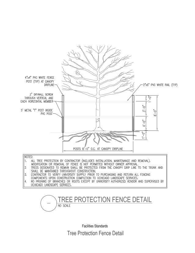 Tree Protection Diagram