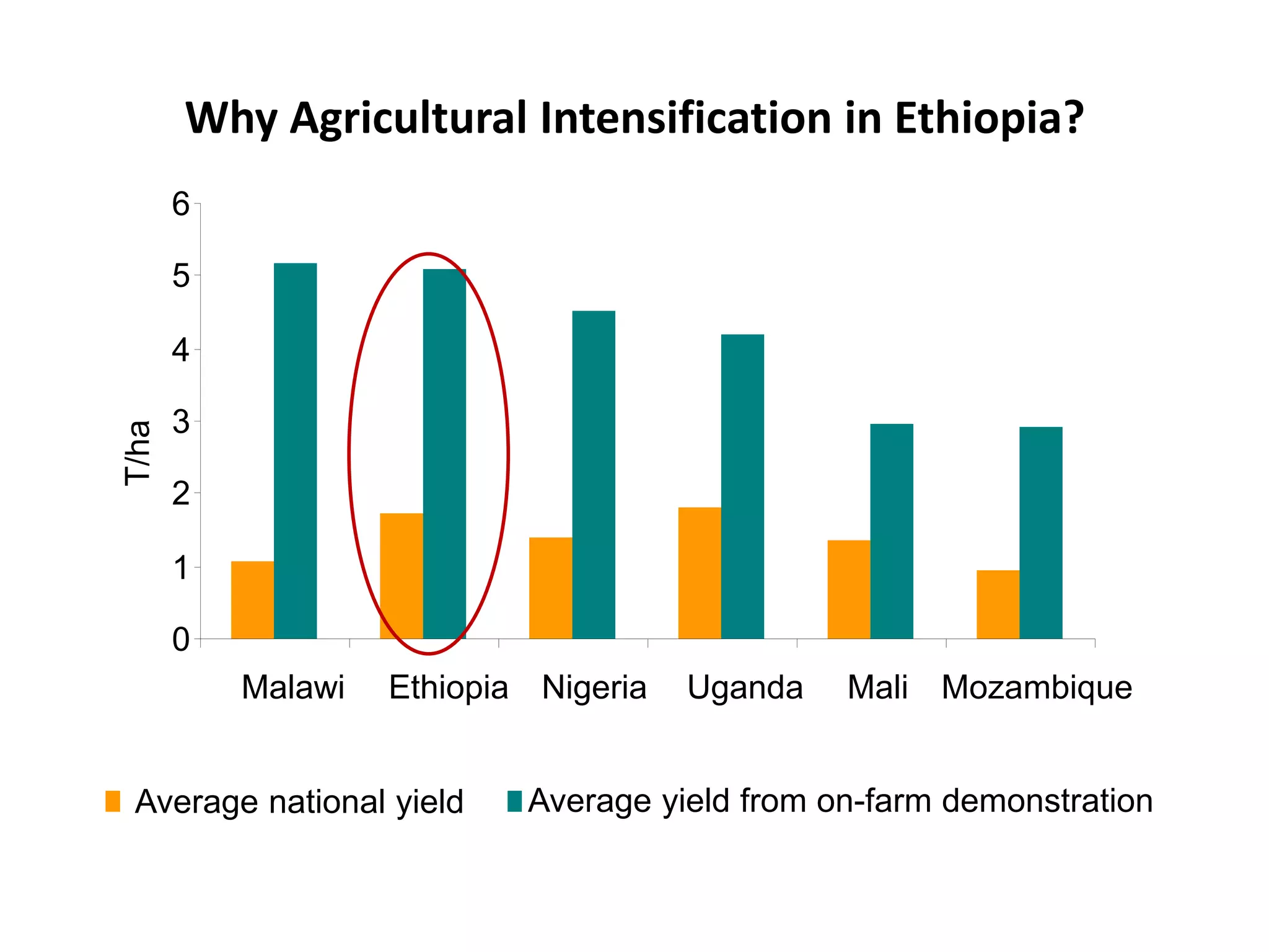 Why Agricultural Intensification in Ethiopia?
       6

       5

       4

       3
T/ha




       2

       1

       0
           Malawi   Ethiopia Nigeria   Uganda   Mali Mozambique


 Average national yield     Average yield from on-farm demonstration
 