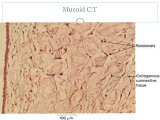 Mucoid C.T
 