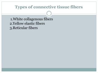 Types of connective tissue fibers
1.White collagenous fibers
2.Yellow elastic fibers
3.Reticular fibers
 