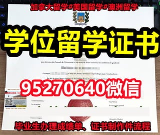 Kcl Photo Id Example 毕业证KCL | PDF