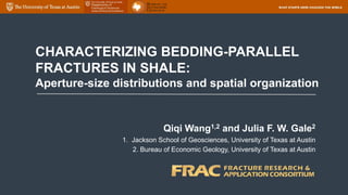 CHARACTERIZING BEDDING-PARALLEL
FRACTURES IN SHALE:
Aperture-size distributions and spatial organization
Qiqi Wang1,2 and Julia F. W. Gale2
1. Jackson School of Geosciences, University of Texas at Austin
2. Bureau of Economic Geology, University of Texas at Austin
 
