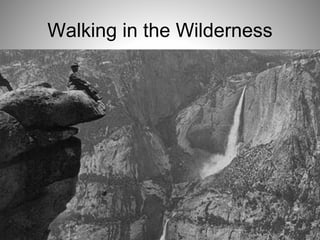 Walking in the Wilderness
 
